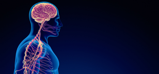 bowen therapy in australia | find a bowen therapist | learn bowen therapy in australia